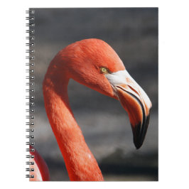 Cuaderno Flamingo