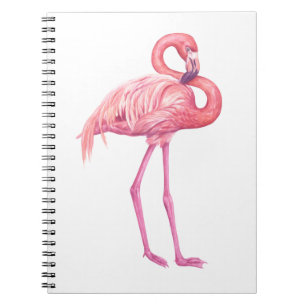 Cuaderno Flamingo 2