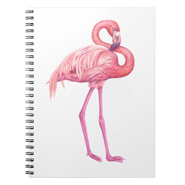 Cuaderno Flamingo 2 (Frente)