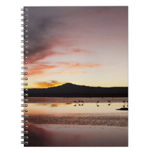 Cuaderno Flamingo de Chile