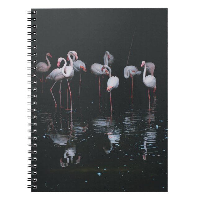 CUADERNO FLAMINGO EN EL FONDO OSCURO (Frente)