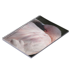 Cuaderno Flamingo Rosa