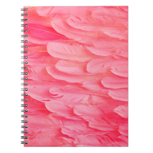 Cuaderno Flamingo rosa Feathersflamingo, plumas, rosa, text