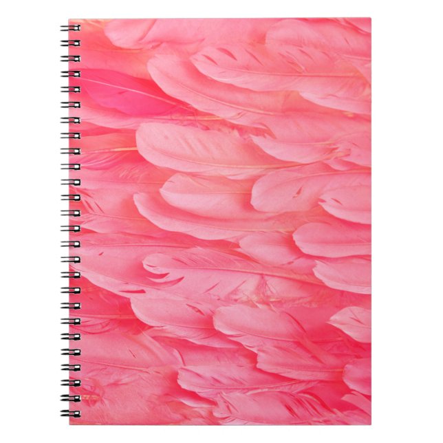 Cuaderno Flamingo rosa Feathersflamingo, plumas, rosa, text (Frente)