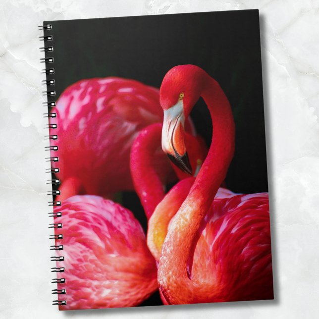 Cuaderno Flamingo rosa tropical moderno (Modern Tropical Pink Flamingo notebook)