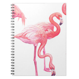 Cuaderno Flamingos