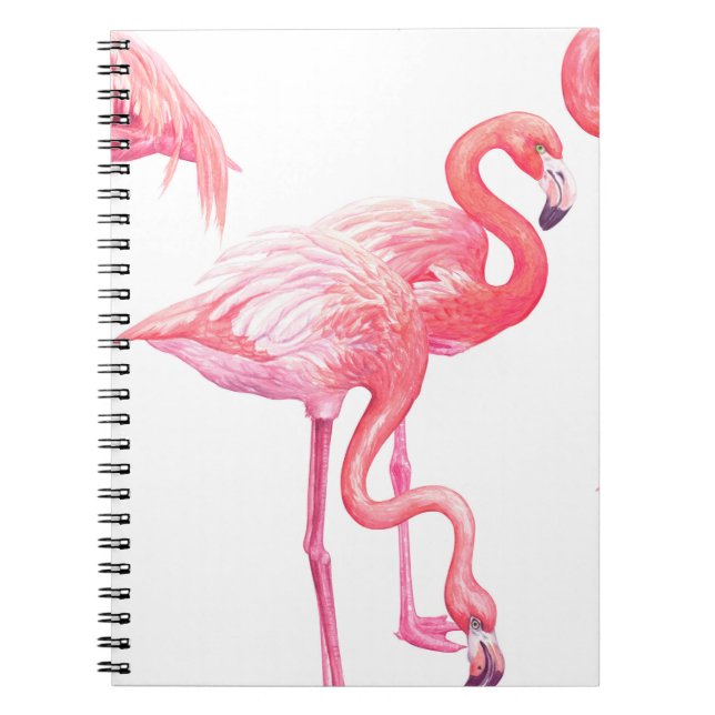 Cuaderno Flamingos (Frente)