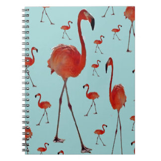 Cuaderno Flamingos andantes