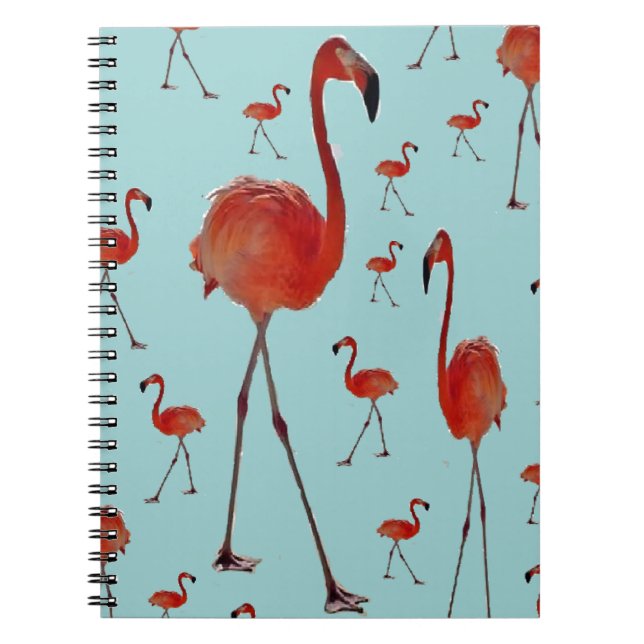 Cuaderno Flamingos andantes (Frente)