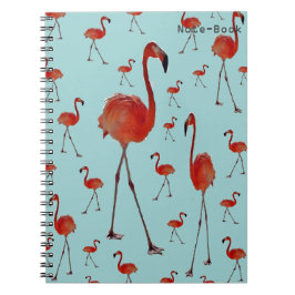 Cuaderno Flamingos andantes