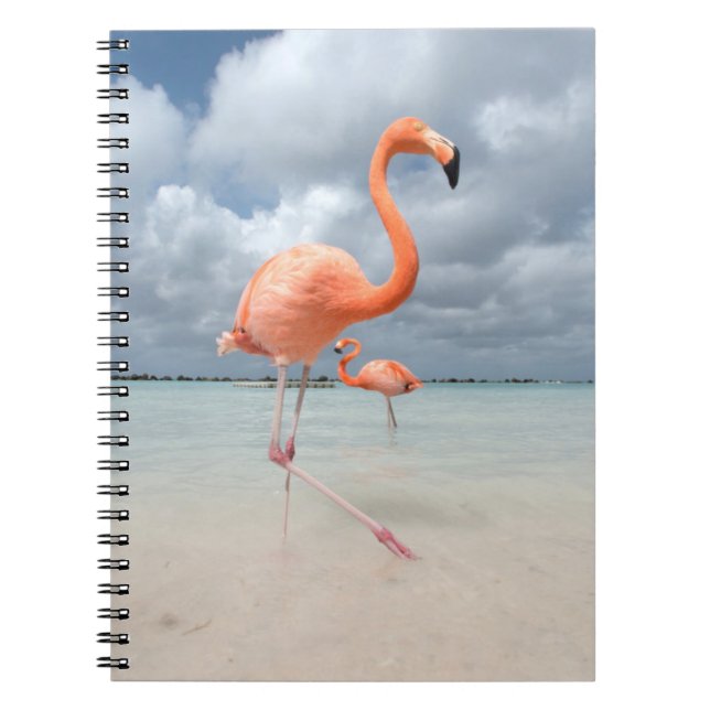 Cuaderno Flamingos Beach Aruba (Frente)