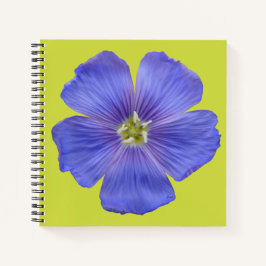 Cuaderno Flaux azul #1
