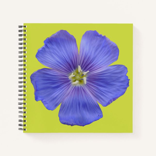 Cuaderno Flaux azul #1 (Anverso)