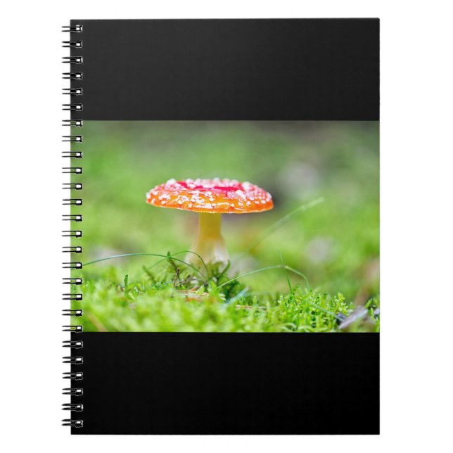 Cuaderno Fliegenpilz (Frente)