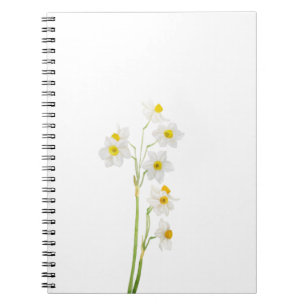 Cuaderno flor acuarela de narciso blanco