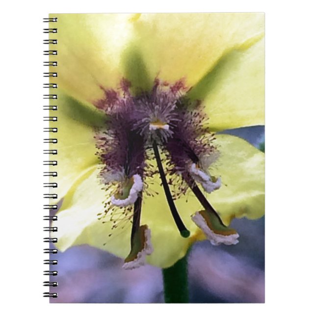 Cuaderno Flor Amarilla 3 (Frente)