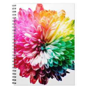 Cuaderno flor arco iris