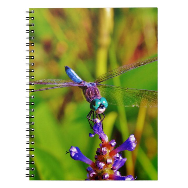 Cuaderno Flor arcoiris (Frente)