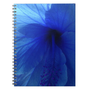Cuaderno Flor azul hibiscus