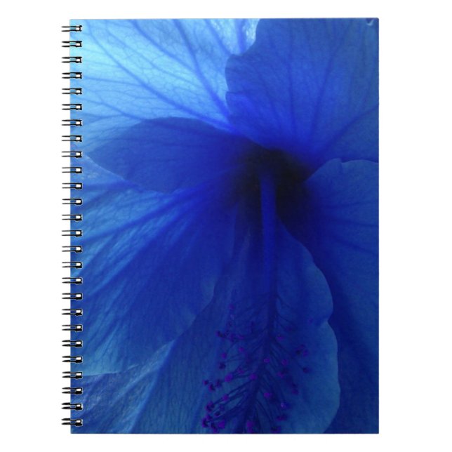 Cuaderno Flor azul hibiscus (Frente)