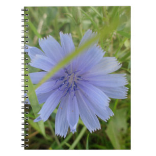 Cuaderno Flor azul violeta en achicoria