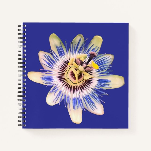 Cuaderno Flor azul y crema (Anverso)