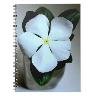 Cuaderno Flor blanca