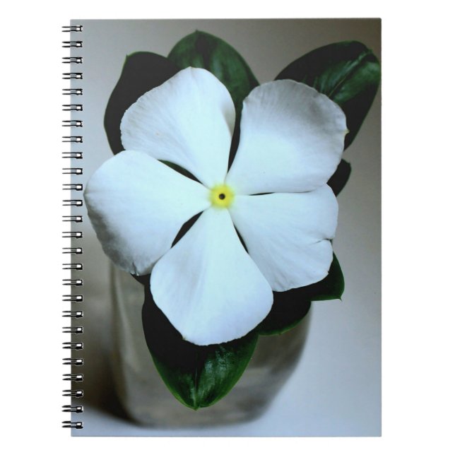 Cuaderno Flor blanca (Frente)