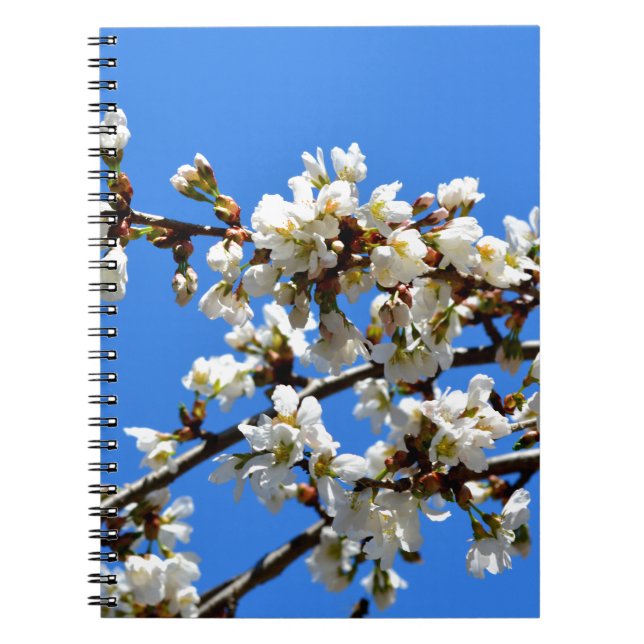 Cuaderno Flor blanca del árbol primaveral floral blanca (Frente)