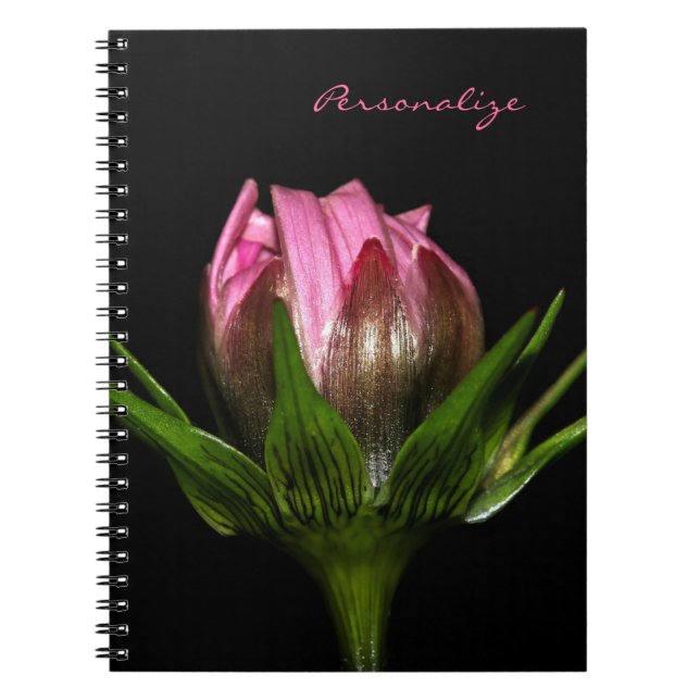 Cuaderno Flor Cosmos Rosa Con Nombre (Frente)