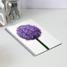 Cuaderno Flor de Allium Púrpura en Flor sobre Fondo Blanco