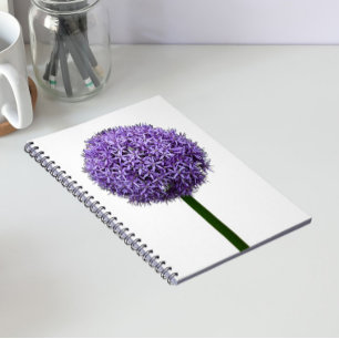 Cuaderno Flor de Allium Púrpura en Flor sobre Fondo Blanco