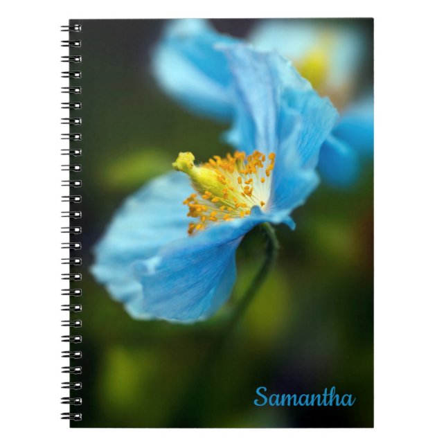 Cuaderno Flor de amapola azul portátil espiral (Frente)