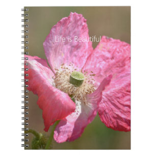 Cuaderno Flor de amapola islandesa rosa (mi fotografía)