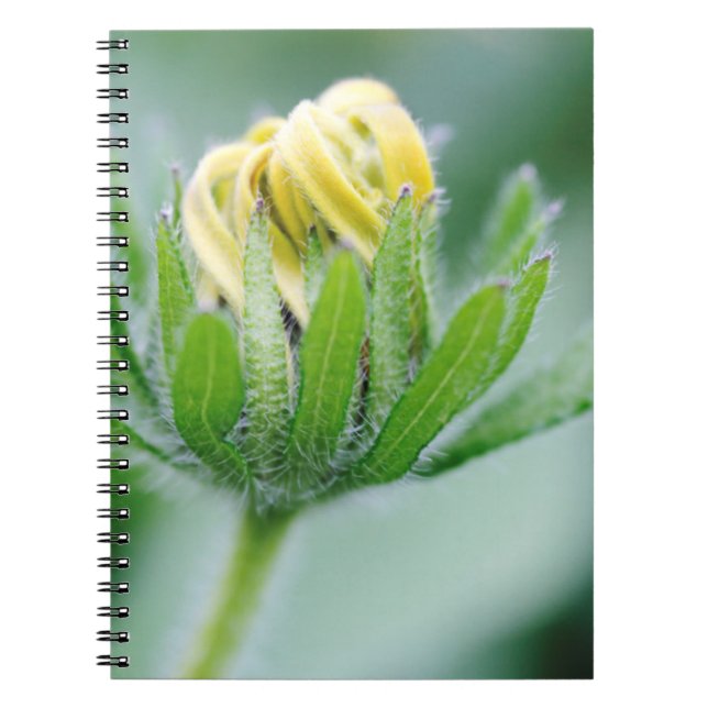 Cuaderno Flor De Apertura De La Flor De Cono (Frente)