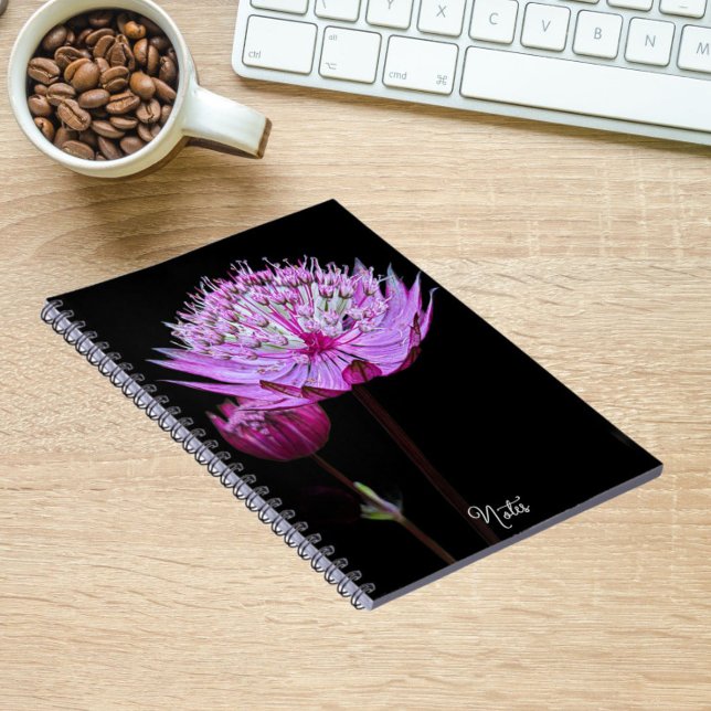 Cuaderno Flor de Astrantia Rosa sobre Floral Negro (In Situ)