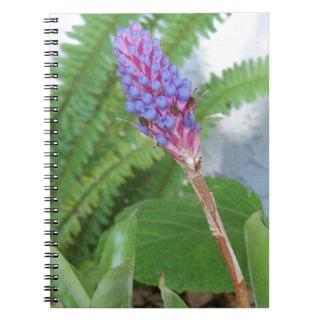 Cuaderno flor de bromelia de cono azul (Frente)