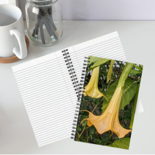 Cuaderno Flor de Brugmansia Amarilla Floral