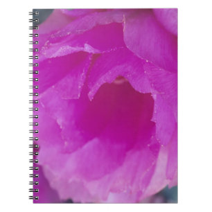 Cuaderno Flor de cactus erizo rosa (Echinocereus
