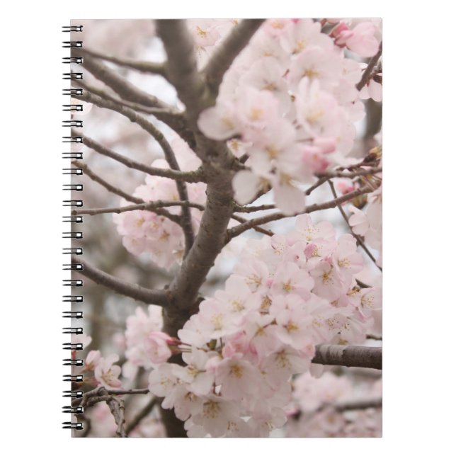 Cuaderno Flor de cerezo (Frente)