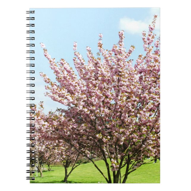 Cuaderno Flor de cerezo (Frente)