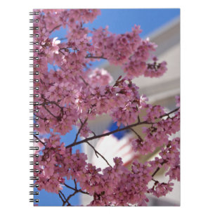 Cuaderno Flor de Cerezo Sakura Americana