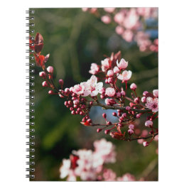 Cuaderno Flor de color rosa en la cálida luz del verano