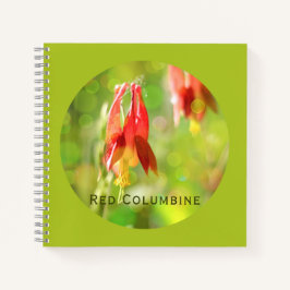 Cuaderno Flor de Columbine Rojo en verde atlantis