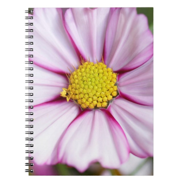 Cuaderno Flor de Cosmos (bidens formosa) (Frente)