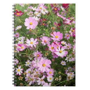 Cuaderno Flor de Cosmos (Bidens Formosa). Kirkwood