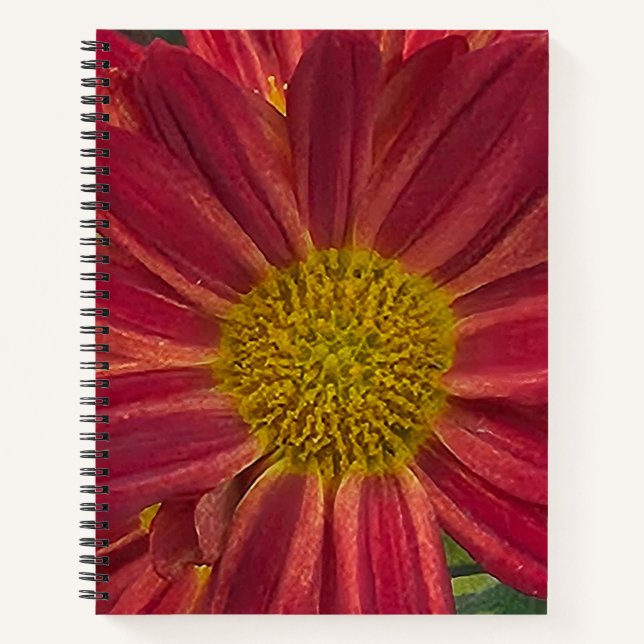 Cuaderno Flor de crisantemo (Anverso)