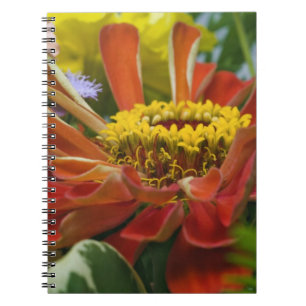 Cuaderno flor de crisantemo