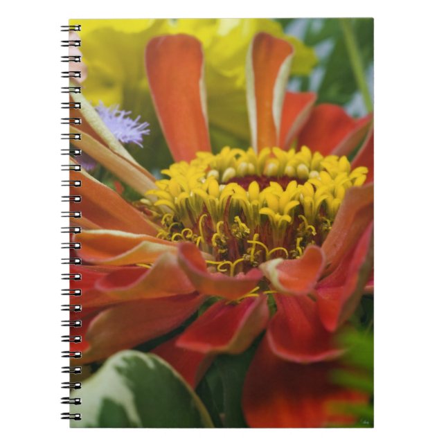 Cuaderno flor de crisantemo (Frente)