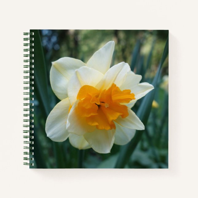Cuaderno Flor de Daffodil (Anverso)